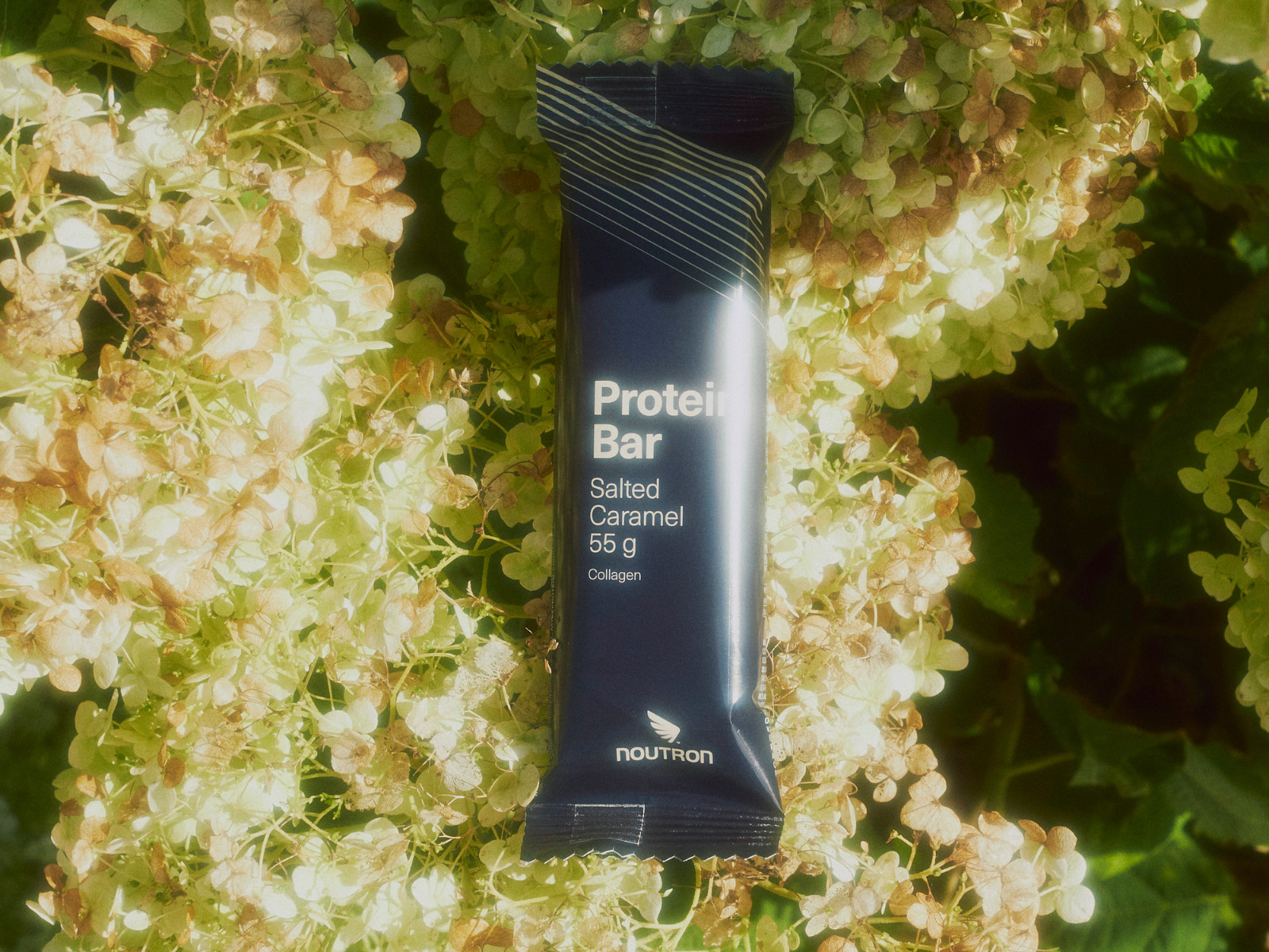 Protein Bar (12 stk.)